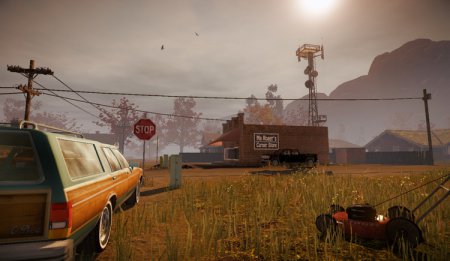 State of Decay Class 4